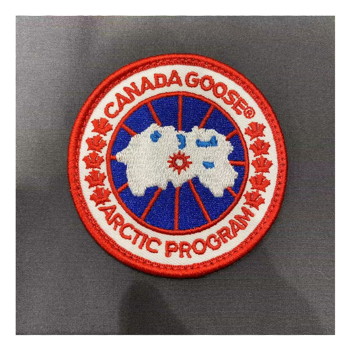 Canada Goose Women's Trillium Down Parka with Fur-Trimmed Hood