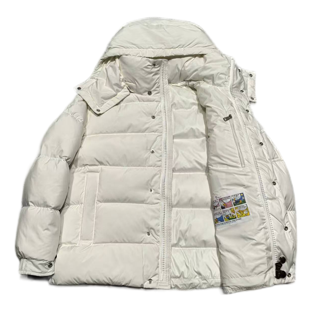 Moncler Matte Hooded Down Jacket with Snap Front