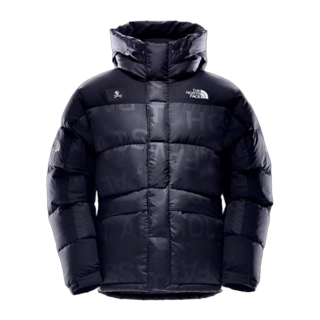 The North Face Urban Exploration (UE) Special Series Down Parka – 5J27