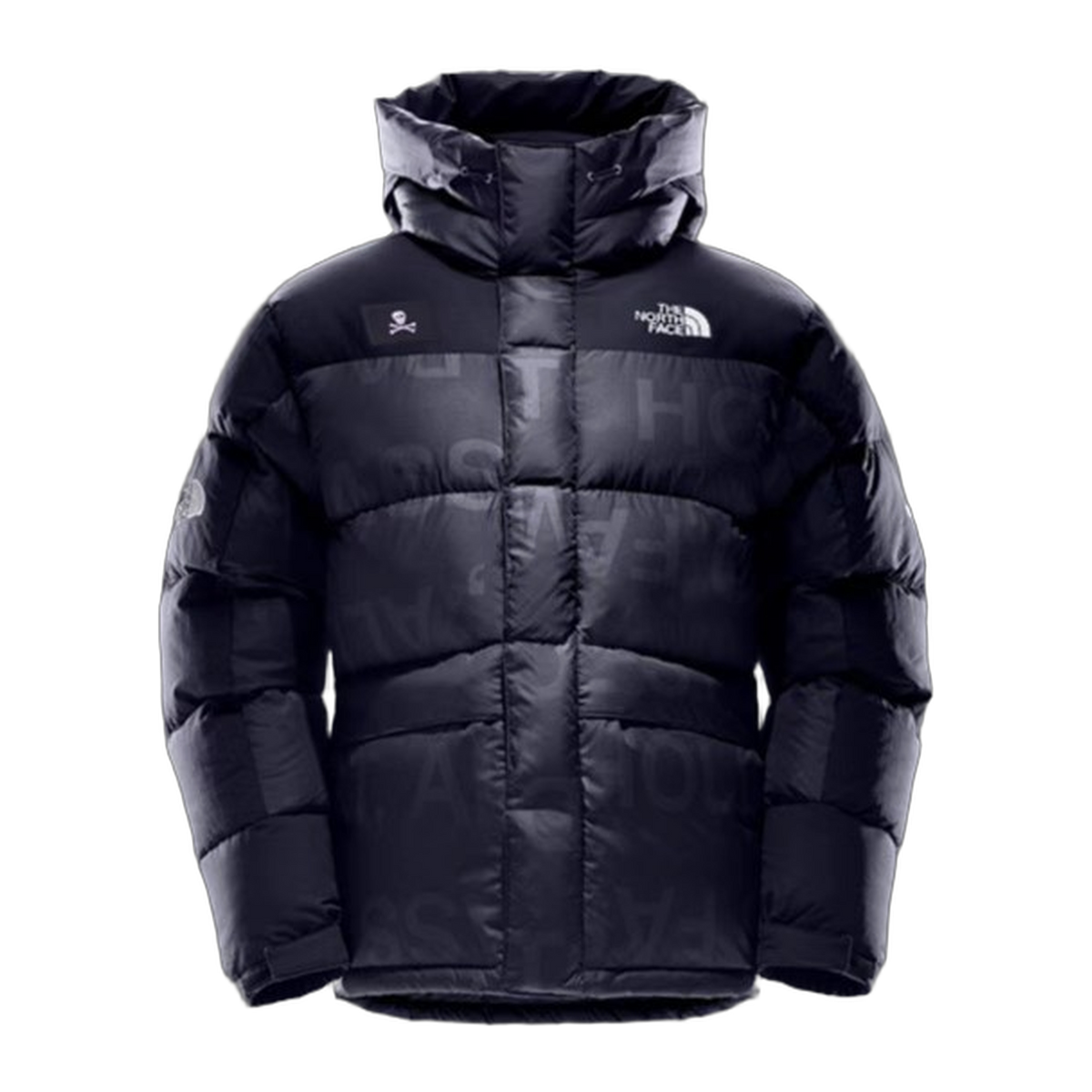 The North Face Urban Exploration (UE) Special Series Down Parka – 5J27